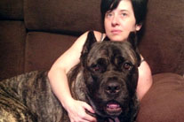 Hank The Lap Dog
