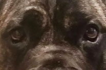 The Eyes Get Ya