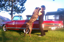 Man's Pride & Joy