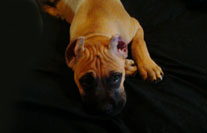 Innocent Loretta ;-)